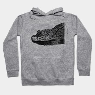 Dwarf crocodile Hoodie